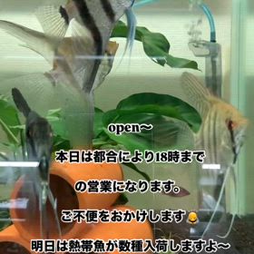 2025/04/03の画像