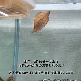 2025/12/02の画像