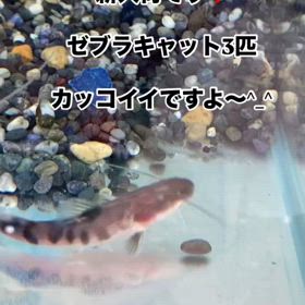2025/01/18の画像