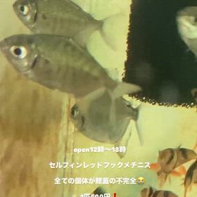 2026/02/01の画像