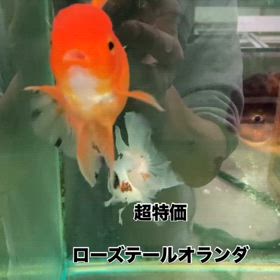 2025/01/02の画像