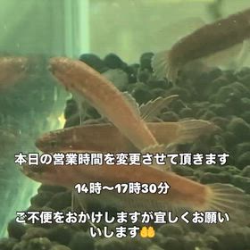 2025/11/05の画像