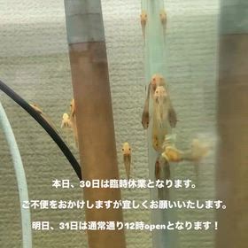2026/01/30の画像