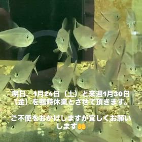 2026/01/23の画像