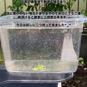 2025/05/05の画像