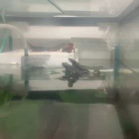 2026/03/29の画像