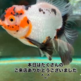 2025/01/03の画像
