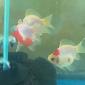 2026/04/24の画像