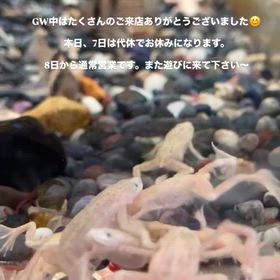 2026/05/07の画像