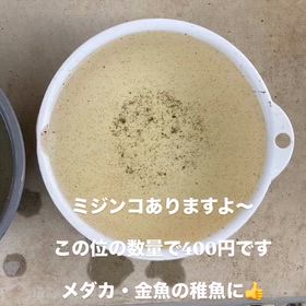2026/05/09の画像