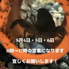 2026/05/04の画像