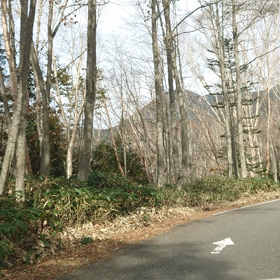 中禅寺湖の帰り道の画像