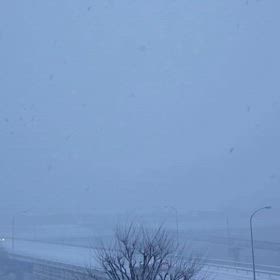 寒波がやって来た❄❄❄の画像