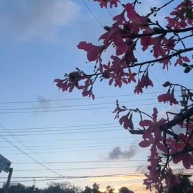 2025/12/17の画像