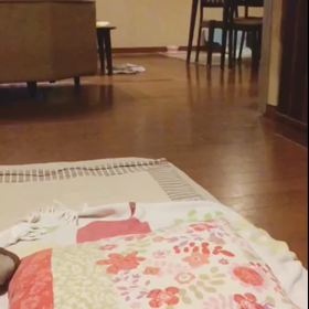 まる君　スローモーション撮影してみました～の画像