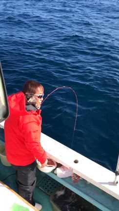 五目釣り便行ってきましたの記事動画
