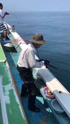 泳がせ五目便行ってきましたの記事動画