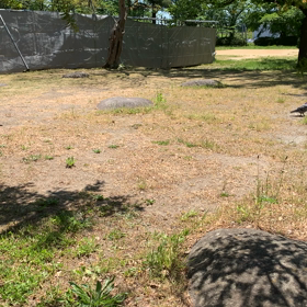 2020/05/21の画像