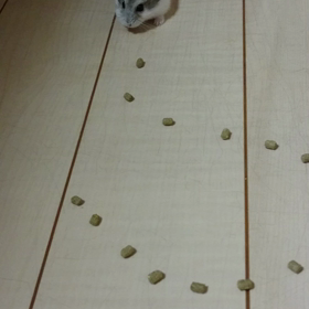 えっ？なくなった？の画像