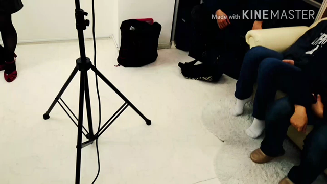 動画の記事動画