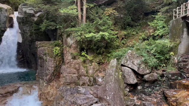 会いたい人に会いに行きました！【岐阜旅１】の記事動画
