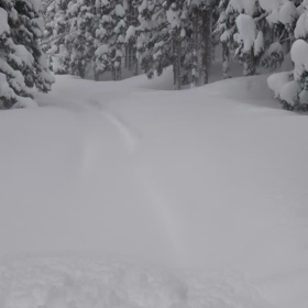 今日の積雪は約150㎝！の画像