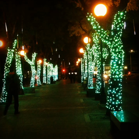台湾のクリスマスツリーの画像
