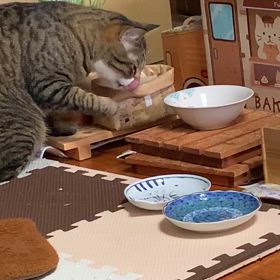 ぼんどの面白い食べ方の画像