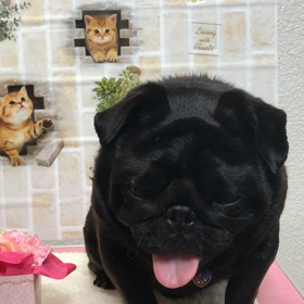 本日のお客様の画像