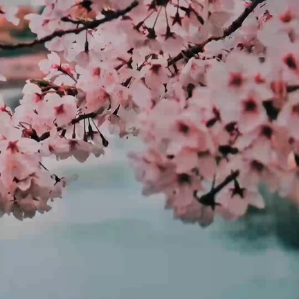 GW限定体験レッスンの記事動画