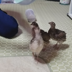 餌～❗の画像