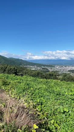 春が来ましたねの記事動画