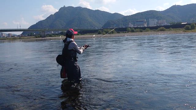 長良川アユイング 鮎ルアー講習会（並木さん巻の釣動画）と10/10釣果情報の記事動画