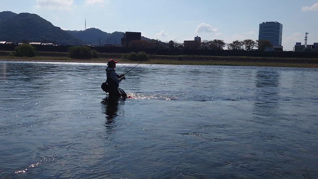 長良川アユイング 鮎ルアー講習会（並木さん巻の釣動画）と10/10釣果情報の記事動画