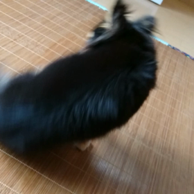 共鳴の画像
