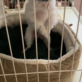 待ちくたびれた！の画像