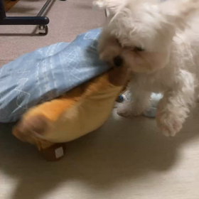 食後の運動の画像