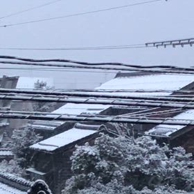 なごり雪の画像