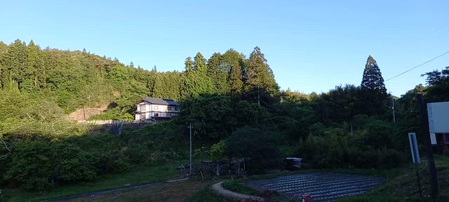 8 話  思えば遠くに来たもんだの記事動画