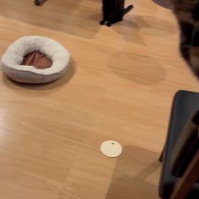 爪痕の画像