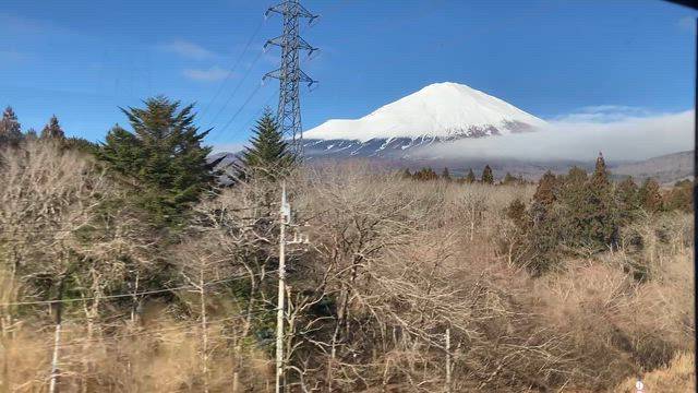 丘みどりさんのSTEPトラベル日帰りバスツアーに感謝！！の記事動画