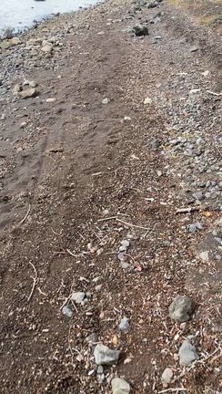 丘みどりさんは福山でコンサート、山中湖一周ウォークの記事動画