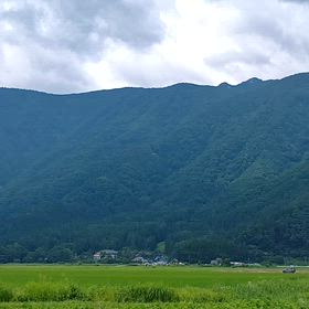 ワインディングから海沿いにの画像
