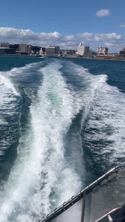 下関　くいだおれの旅の記事動画
