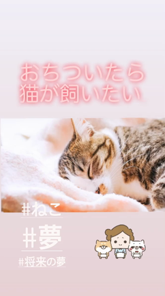 ★猫と犬は共存できるのか？★の記事動画