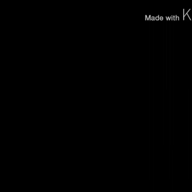 わんこ動画の画像