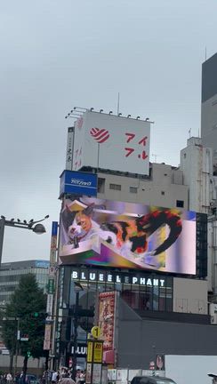楽しかったです☺️の記事動画