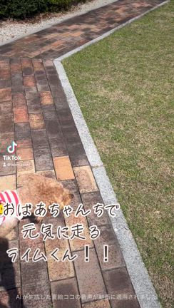 無事、帰宅しました(*^^*)の記事動画
