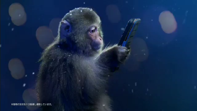 ユニバーサルホーム新CMの記事動画