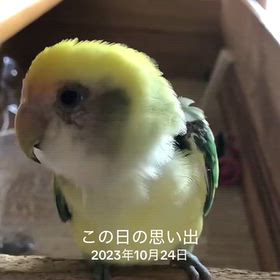 今日という日がの画像